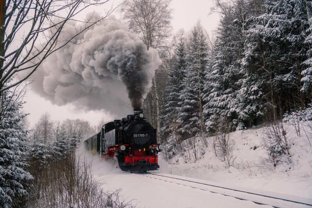 fichtelbergbahn, train, railroad, narrow gauge railway, steam locomotive, locomotive, nature, rails, snow, forest, winter wonderland, winter, smoke, ore mountains, fichtelberg railway